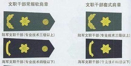 三顆梅花軍階|軍銜肩章上「梅花」與「五角星」有什麼區別？說出來。